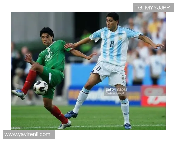 武汉排球队在联合会杯中的拼搏历程与荣耀时刻的特别报道