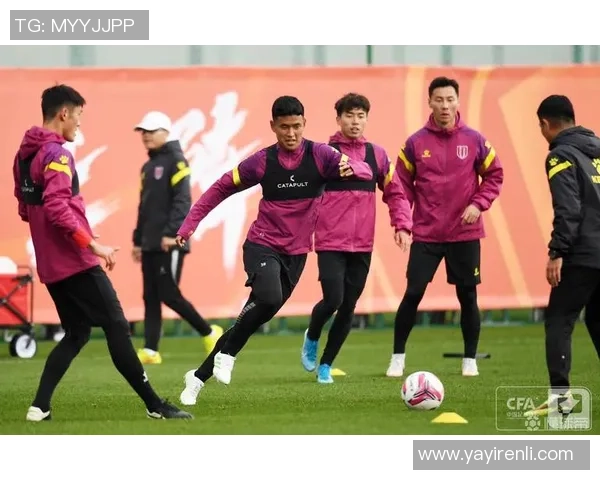 成都网球队的转型之路：成就与挑战并存的网球发展之道